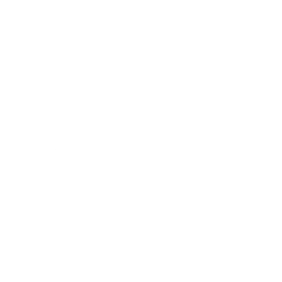 LOGO VR ADV BRANCO 01